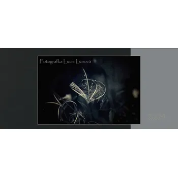 Kalendář Stolní kalendář 2024