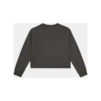 Pánská mikina Calvin Klein Jeans Mikina Mercury Monogram IG0IG02482 Šedá Regular Fit 14Y