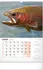 Kalendář Presco Group Nástěnný kalendář Rybářský 2024