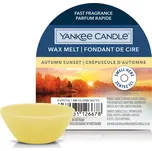 Yankee Candle Vonný vosk 22 g