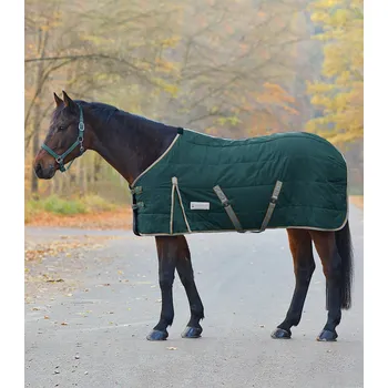 Deka pro koně Waldhausen Zimní stájová deka, 300 g zelená, 155 cm Velikost: 155 cm