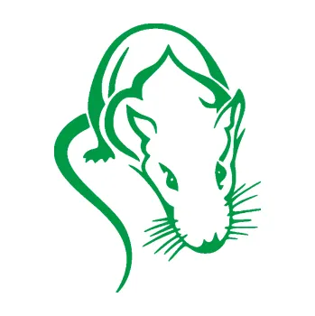 Samolepící dekorace Krysa 004 pravá (12 - zelená) SAMOLEPKA NA AUTO, NÁLEPKA, FÓLIE, POLEP, TUNING, VLASTNÍ TEXT, TISK, AUTOSAMOLEPKY.cz, POLEPY, OBRÁZEK, LOGO, 3D STICKERS