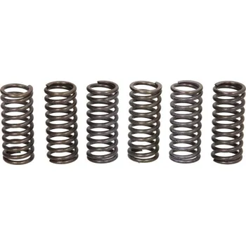 Spojkové pružiny TRW Lucas DUCATI 800 Monster S2R (05-07) rok 05