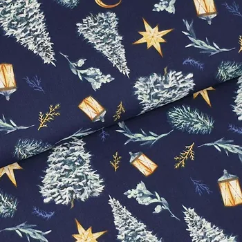 Plátno modré P0886, zasněžené stromy a lucerny, š.160