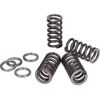 Auto-moto Pružinky spojky Polini zesílené, Minarelli AM4, AM5, AM6 228.0105