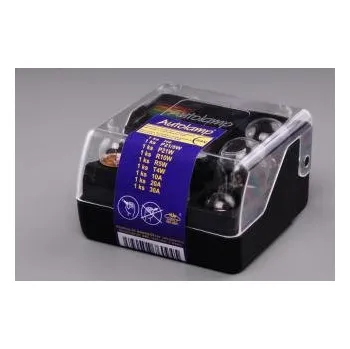 Autožárovka Servisní sada žárovek H4 24V 3171