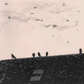 Zahraniční hudba CD Stuart A. Staples: Arrhythmia 2018