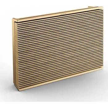Bluetooth reproduktor Bang & Olufsen Beosound Level