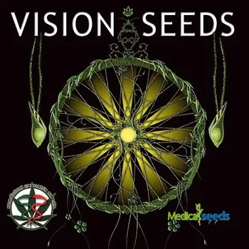 Pěstitelství Vision Seeds - Super Skunk 3 ks
