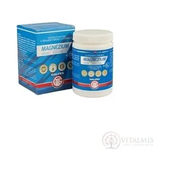 GALVEX MAGNOSIUM laktát 500 mg + B6 tbl 100 ks
