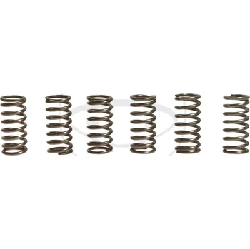 Sada spojkových pružin DERBI 50 Derbi GPR Racing (04-05) rok 03-
