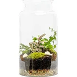 Gardners Skleněná váza Digitalis se zúženým otvorem - výška 35 cm, průměr 19 cm - osázené vlhkomilně