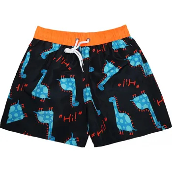 Chlapecké plavky FANNIFEN Chlapecké koupací šortky DINOSAUR FAN-J32100 Barva: Černá, Velikost: 4/6