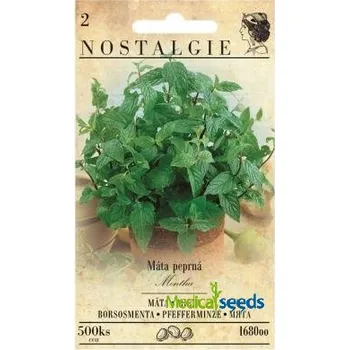 Semeno Máta peprná 500 ks