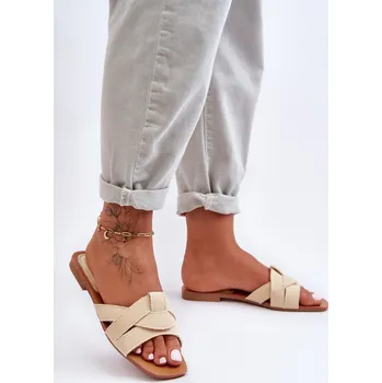 Dámské žabky Pantofle model 183493 Step in style 38