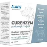 Alavis Curenzym Enzymoterapie