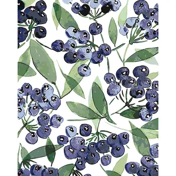 ZUTY Malování podle čísel - BORŮVKY (ALEXANDRIA GILBERT) Rozměr: 40x50 cm, Rámování: bez rámu a bez vypnutí plátna