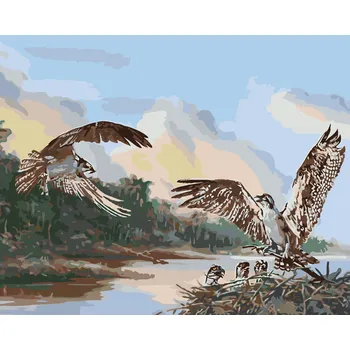 ZUTY Malování podle čísel - OREL A HNÍZDO S MLÁĎATY (D. RUSTY RUST) Rozměr: 40x50 cm, Rámování: bez rámu a bez vypnutí plátna