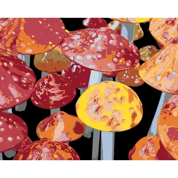 ZUTY Malování podle čísel - MUCHOMŮRKY (DENNIS FRATES) Rozměr: 80x100 cm, Rámování: bez rámu a bez vypnutí plátna