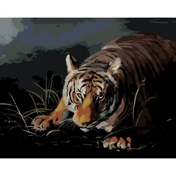ZUTY Malování podle čísel - TYGR ČÍHAJÍCÍ VE TMĚ (D. RUSTY RUST) Rozměr: 40x50 cm, Rámování: bez rámu a bez vypnutí plátna
