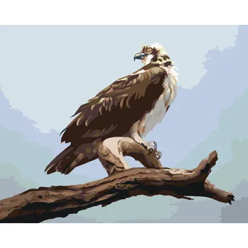 ZUTY Malování podle čísel - OREL NA VĚTVI 2 (D. RUSTY RUST) Rozměr: 80x100 cm, Rámování: bez rámu a bez vypnutí plátna