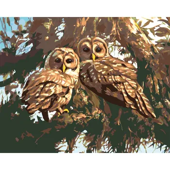 Hračka ZUTY Malování podle čísel - SOVY NA STROMĚ (D. RUSTY RUST) Rozměr: 40x50 cm, Rámování: bez rámu a bez vypnutí plátna