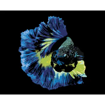ZUTY Malování podle čísel - BOJOVNICE RYBA MODRÁ Rozměr: 40x50 cm, Rámování: bez rámu a bez vypnutí plátna