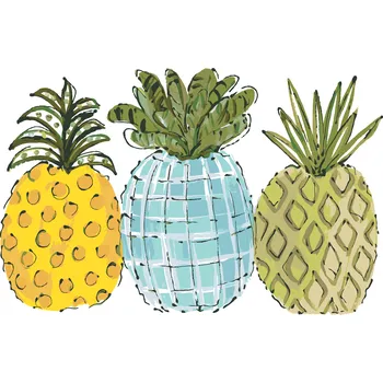 ZUTY Malování podle čísel - BAREVNÉ ANANASY (HALEY BUSH) Rozměr: 40x50 cm, Rámování: bez rámu a bez vypnutí plátna