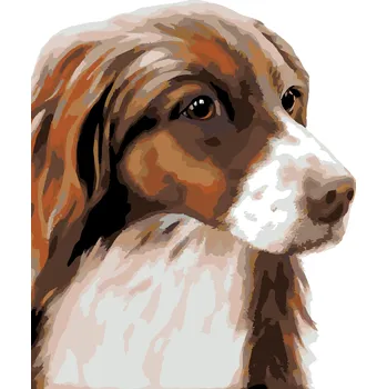 ZUTY Malování podle čísel - KOKRŠPANĚL (MYROSLAVA VOLOSCHUK) Rozměr: 40x50 cm, Rámování: bez rámu a bez vypnutí plátna