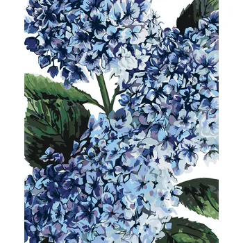 ZUTY Malování podle čísel - HORTENZIE S MODRÝMI KVĚTY (ALEXANDRIA GILBERT) Rozměr: 40x50 cm, Rámování: bez rámu a bez vypnutí plátna