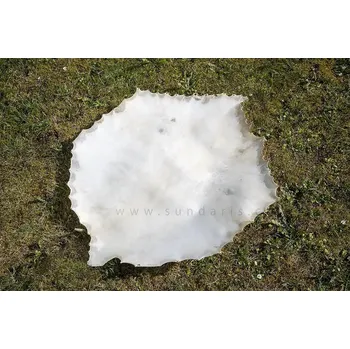 Blána Blána pro Bubny Sundaris Kozí Kůže Hladká 55 cm