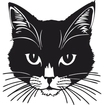 Samolepící dekorace Vsepropejska 3D samolepka na zeď ze dřeva kočka 6 Rozměr (cm): 38 x 36, Dekor: Černá