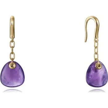 Náušnice Viceroy Jewels 13172E100-47