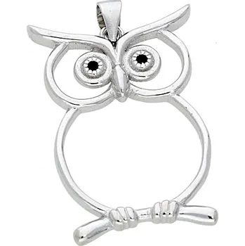 Přívěsek Goldstore Větší stříbrný přívěs sova Varianta: stříbrný přívěs