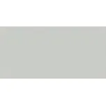 PS800 grey satin - obkládačka 29,8x59,8 šedá W562-003-1