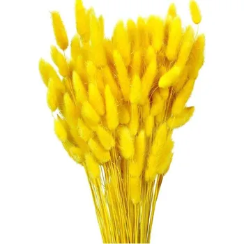 Sušený lagurus žlutý 80 g