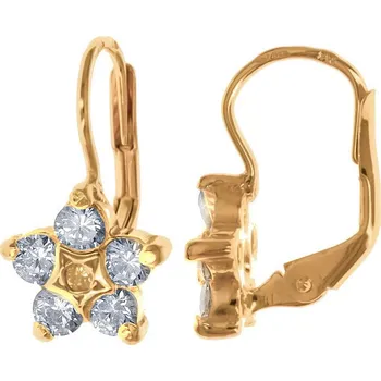 Náušnice Argento 65214 Pozlacené stříbrné náušnice - hvězdička, čiré kulaté zirkony