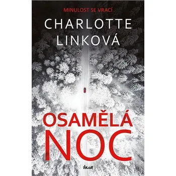 Kniha Osamělá noc Ekniha