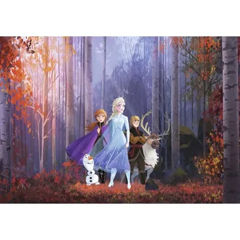 Fototapeta Fototapeta vliesová IADX8-005 Frozen Autumn Glade 400x280 cm