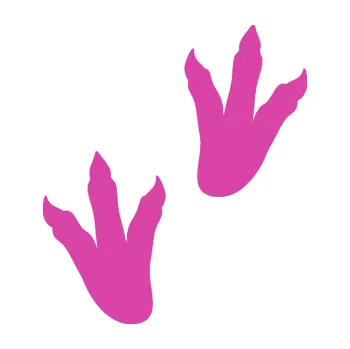 Samolepící dekorace Dinosaurus stopy 001 pravá (16 - růžová) SAMOLEPKA NA AUTO, NÁLEPKA, FÓLIE, POLEP, TUNING, VLASTNÍ TEXT, TISK, AUTOSAMOLEPKY.cz, POLEPY, OBRÁZEK, LOGO, 3D STICKERS