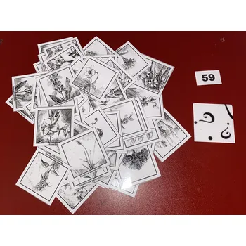 Pexeso HandMade by VeJa Velké pexeso vel.XL č.59 - ČB Rostliny (64kousků)