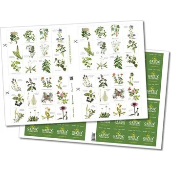 Pexeso Valdemar Grešík Pexeso bylinky