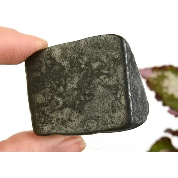 Přírodní kámen Hladký kámen šungit (Rusko) 41g