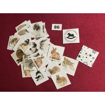 Pexeso HandMade by VeJa Pexeso vel.L č.86a - zakrslý králíci (36kousků)