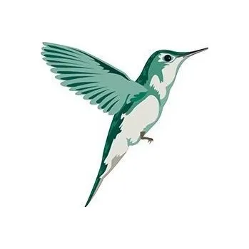 Odstranitelné tetování Kolibřík - nalepovací tetování