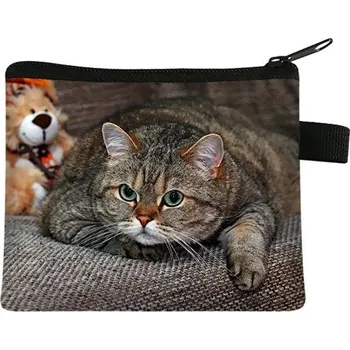 Peněženka Dětská peněženka s motivem kočky - 01