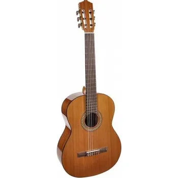 Klasická kytara Salvador Cortez Solid Top Artist CC-22, Klasická kytara