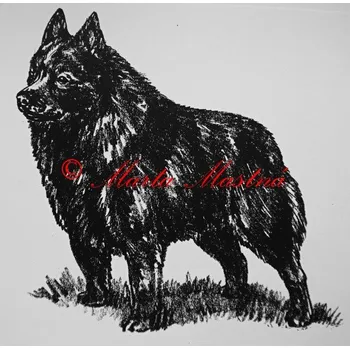 Samolepka šiperka - archiv c32 - Malá - přibližně jako pohlednice