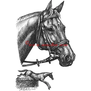 Samolepka Registana, anglický plnokrevník, kůň, koně c628 - Malá - přibližně jako pohlednice