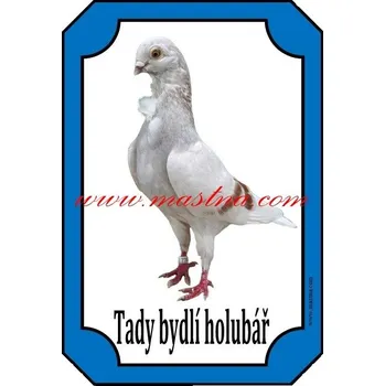 Cedulka holub figurita - Bez samolepicí vrstvy